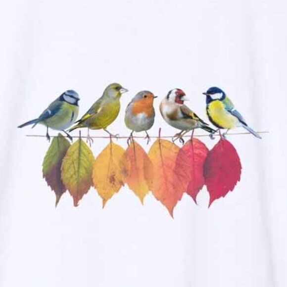 British Wild Birds on a wire with Autumn Leaves Tshirt featuring a Blue - Picture 3 of 3